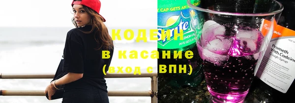 индика Протвино