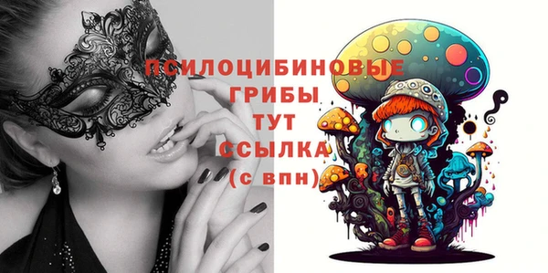 гидропоника Абдулино