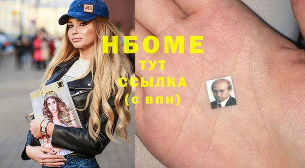 индика Протвино