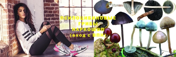 гидропоника Абдулино