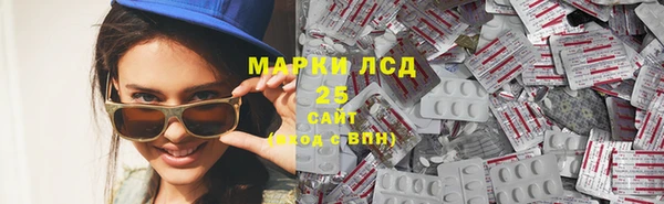 индика Протвино