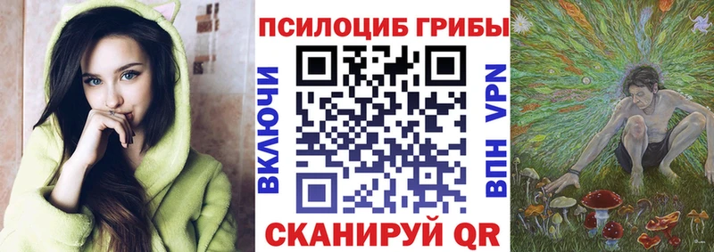 Псилоцибиновые грибы прущие грибы  Инта 
