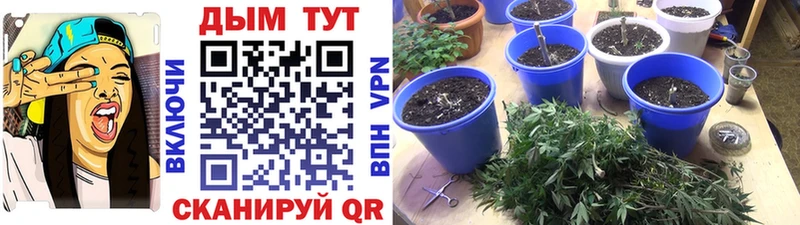 Конопля MAZAR Инта